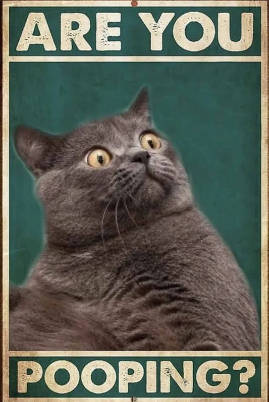 Cat/Bathroom Metal Tin Sign